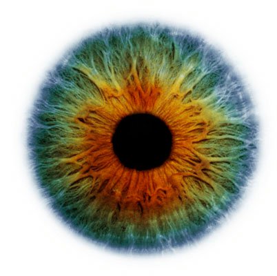 visus